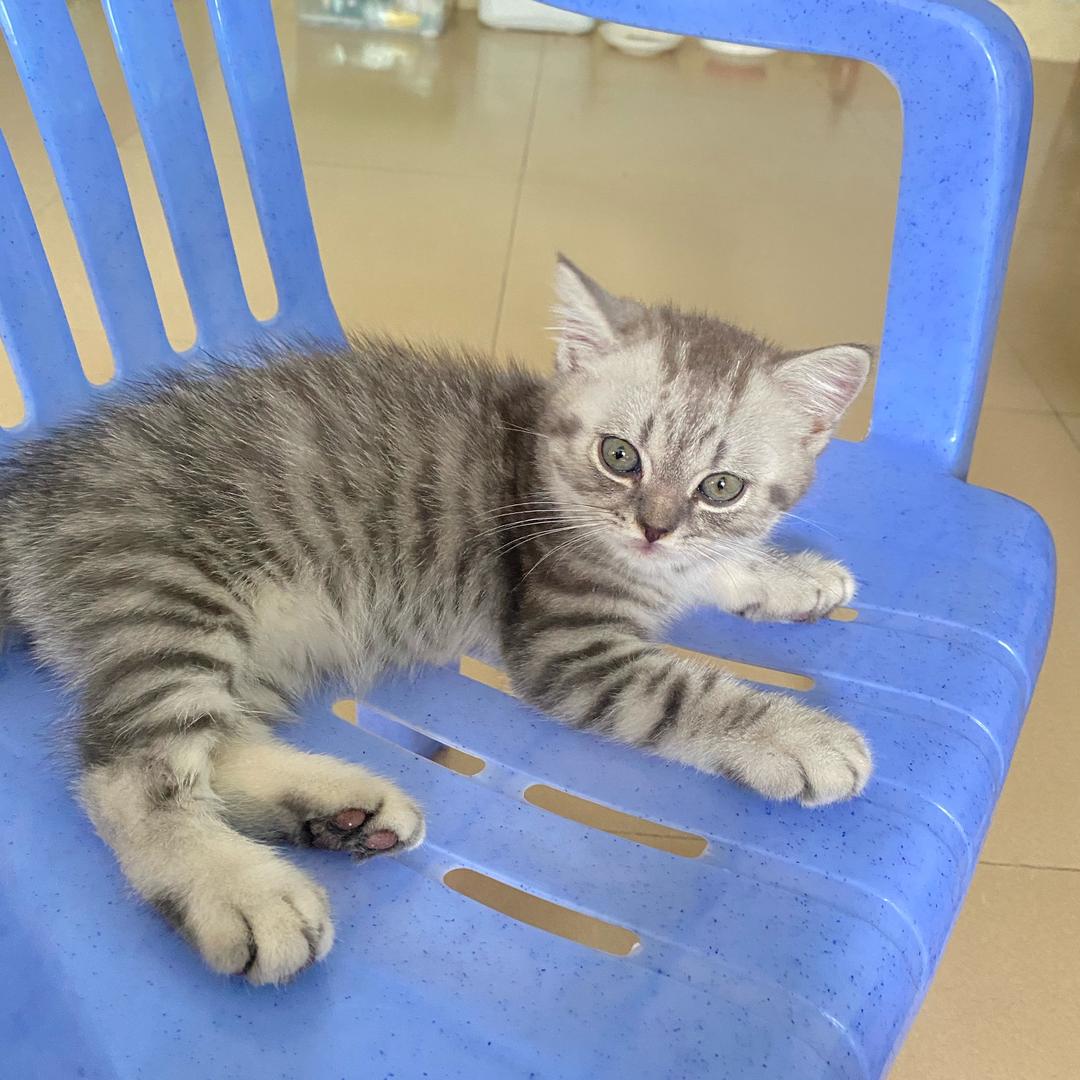 陈住气      　　╲