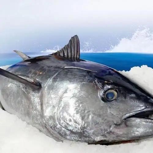 象山薄荷蓝文旅有限公司