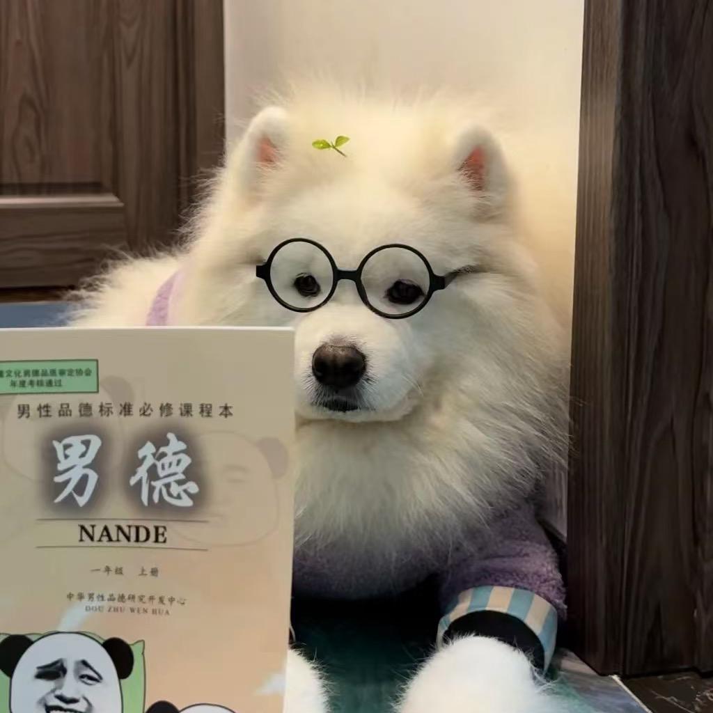 樱桃小完丸犊子
