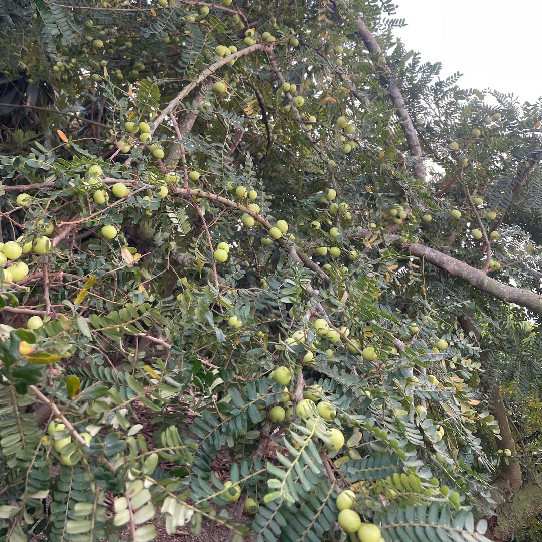 近朱者赤近墨者黑..