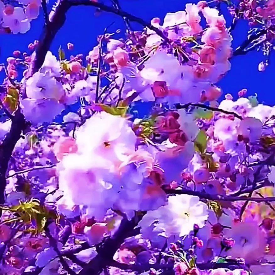 温温