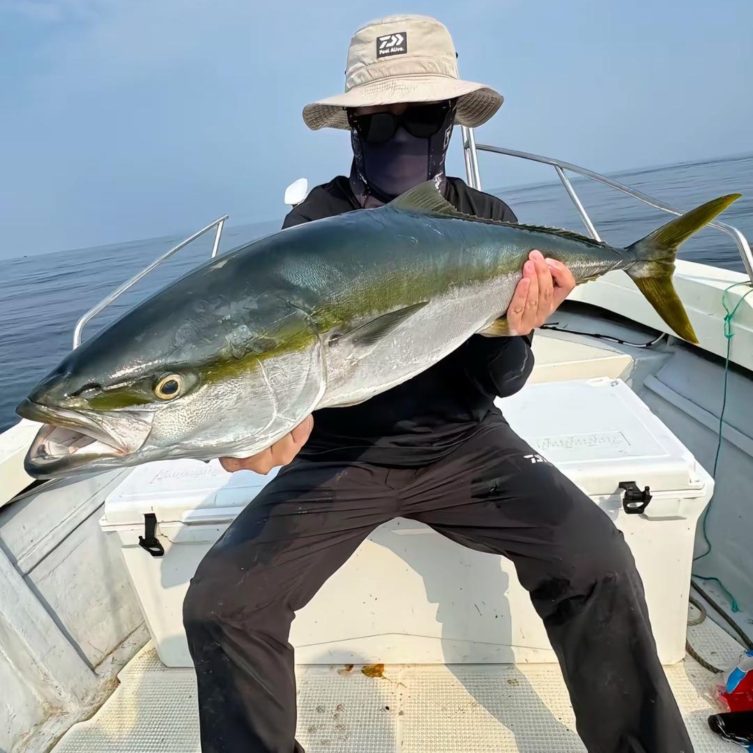 王多鱼🐟（海钓·赶海）