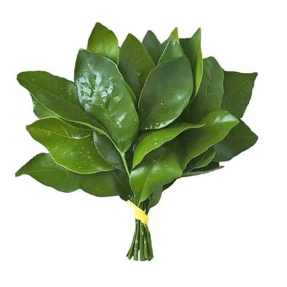 要笑要开心哦