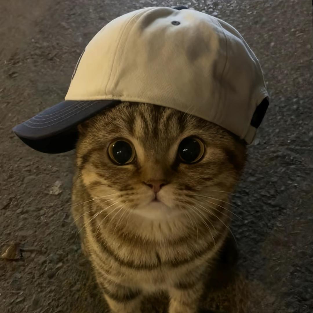 羊村小羊Z☡zᶻ