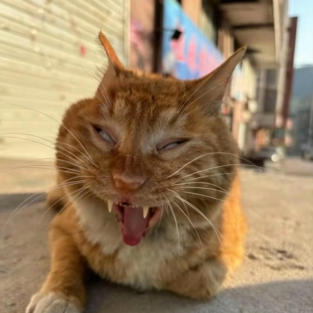 杜若