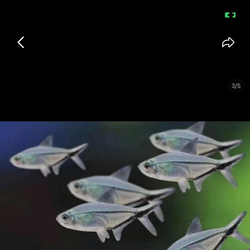 旺旺水族馆