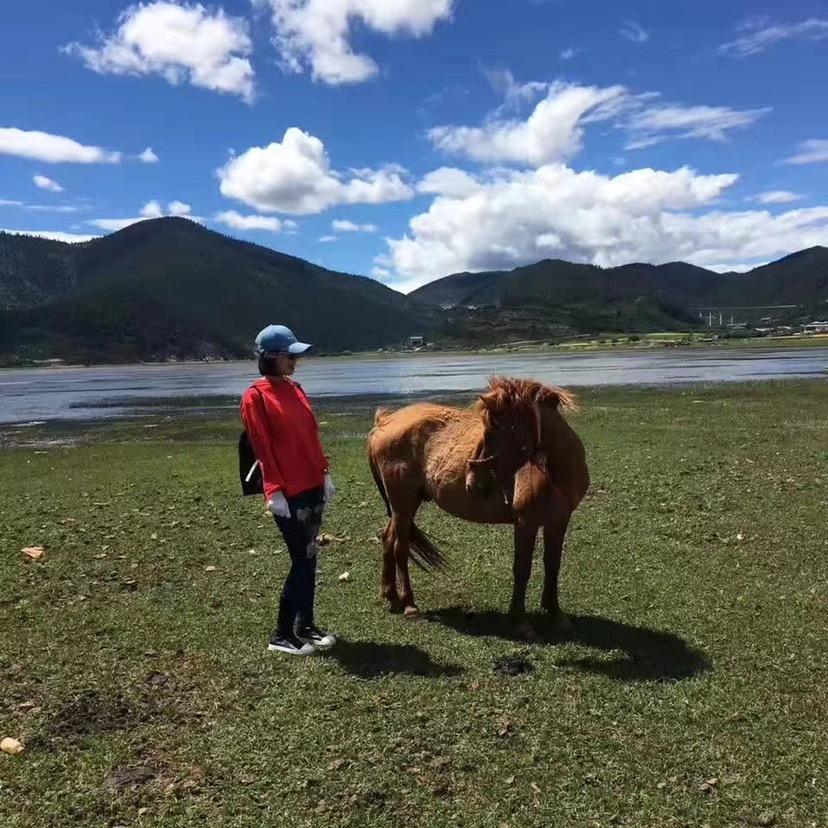 公平阿敏