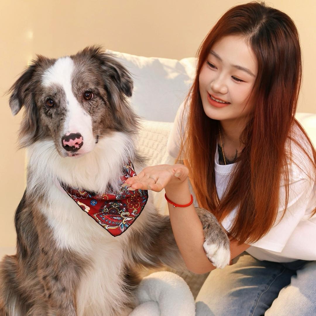 今天吃火锅了吗.