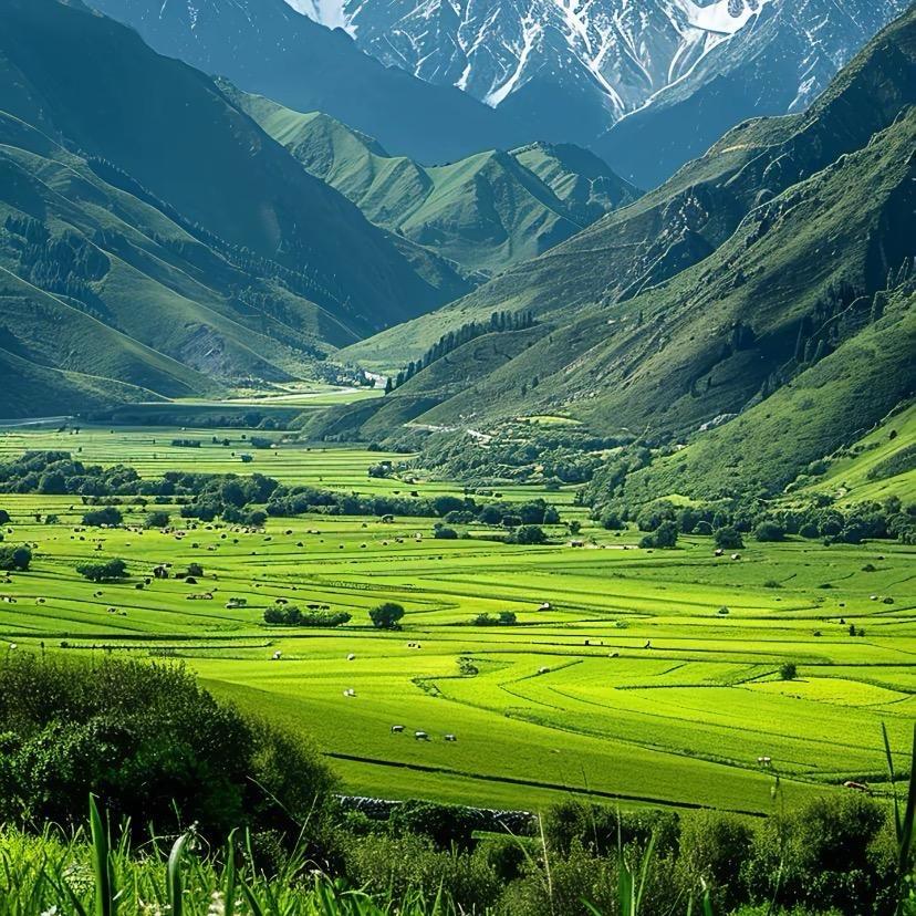 元义才科技严选工厂店