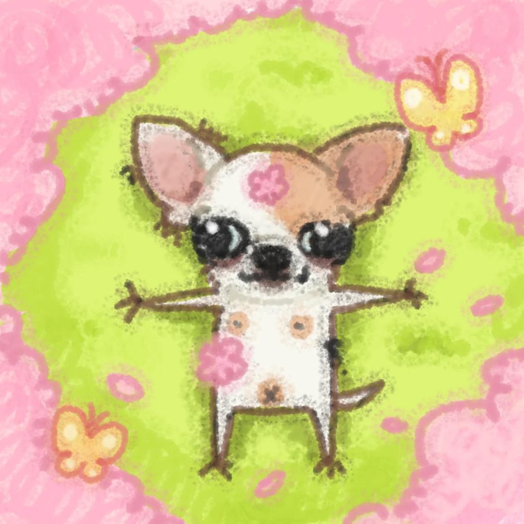 Mio老师