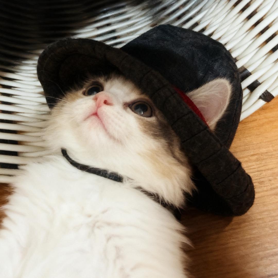 安安～