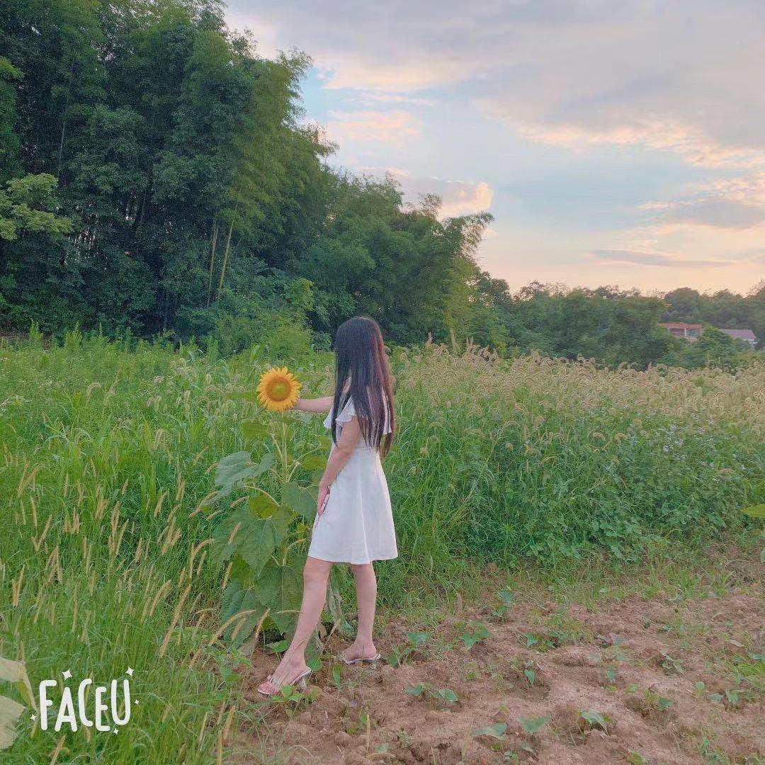 小迷妹