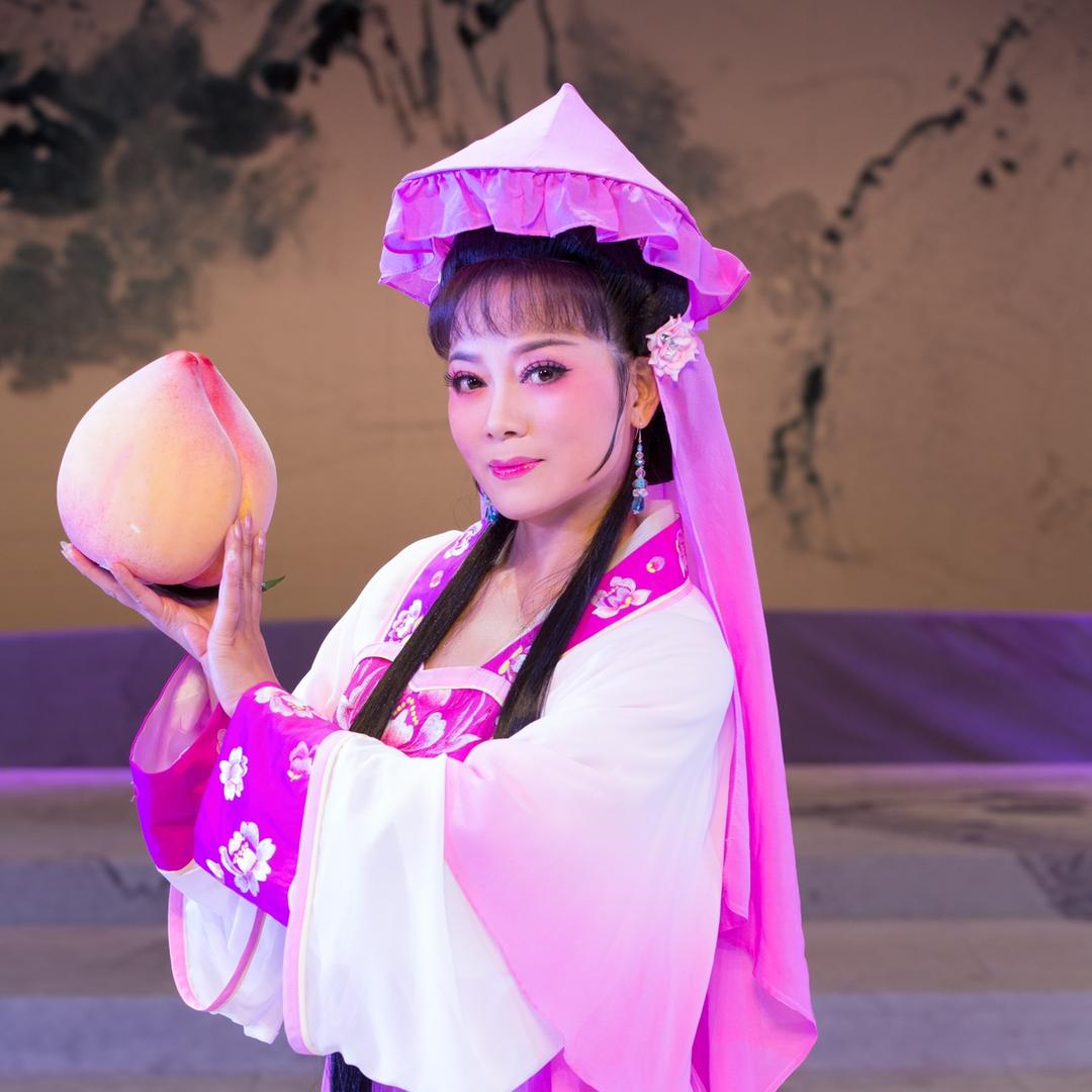 张莉💕黄梅戏💕