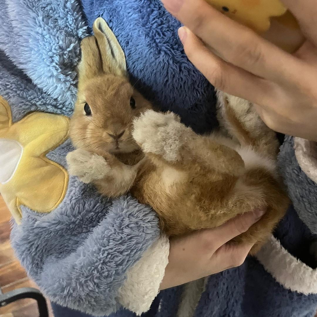 今天星期五～
