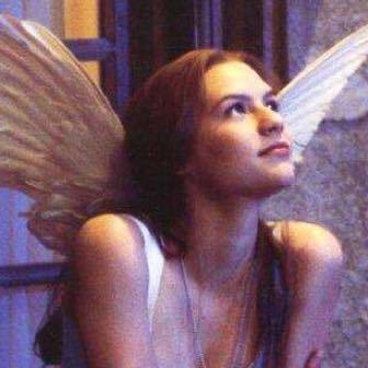 Steelbutterfly