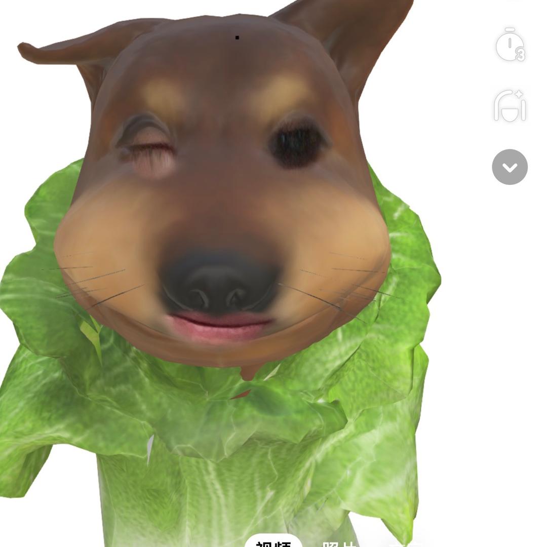 啾咪逗