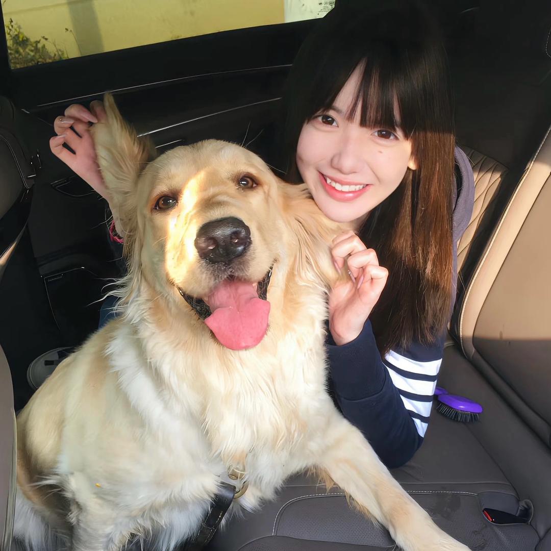 航想吃饺昂