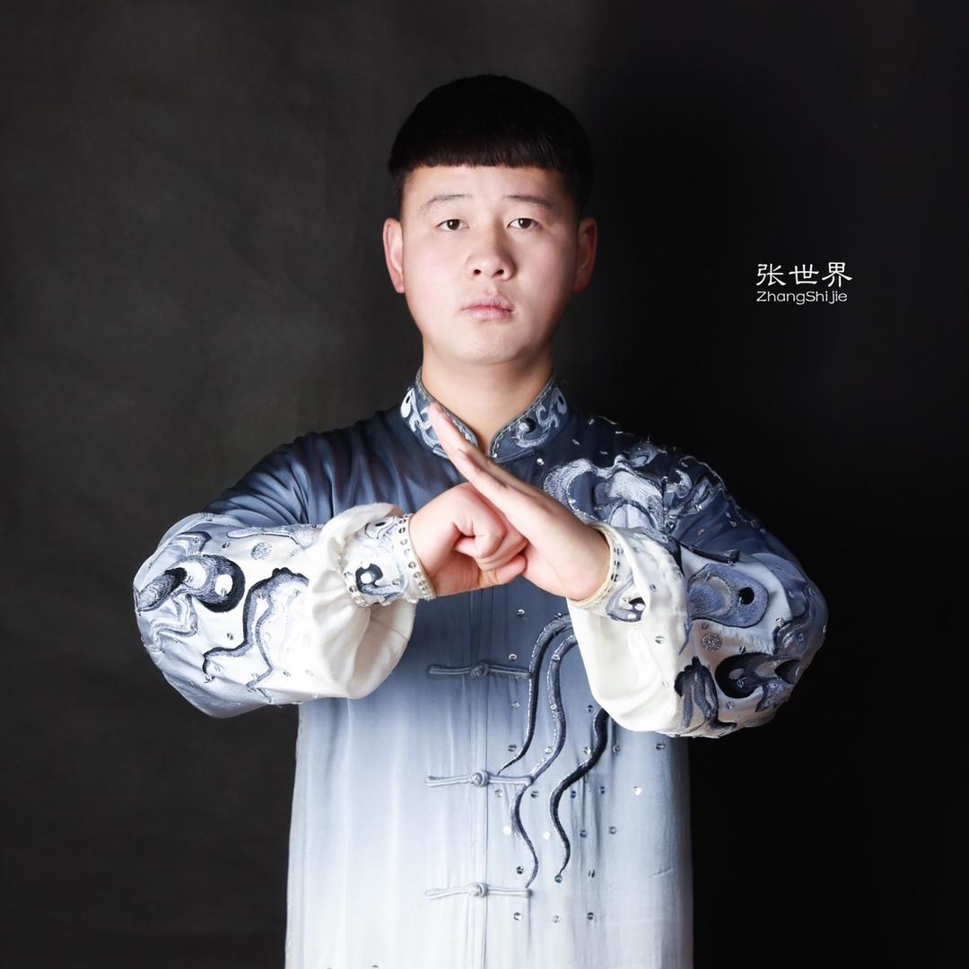 太极张世界教学号