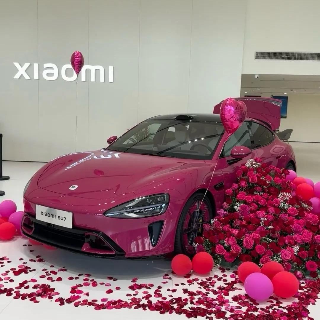 不买SU7誓死不改网名