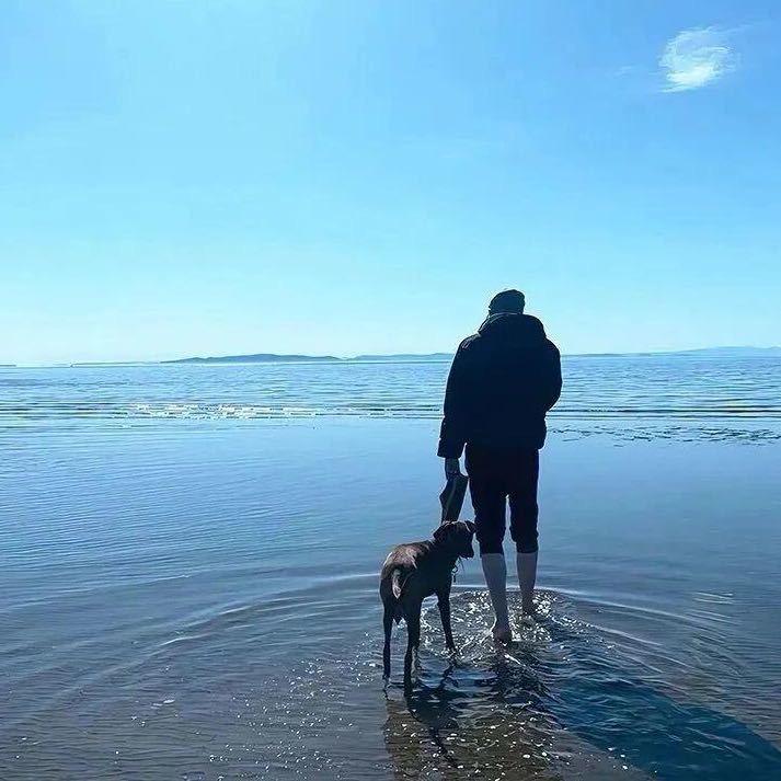 创链Mort技术服务