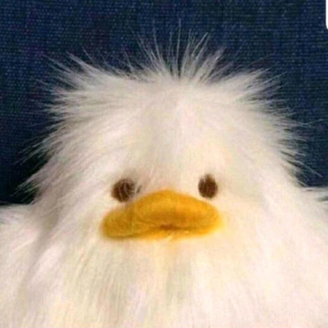 不会被渣但会发财暴富