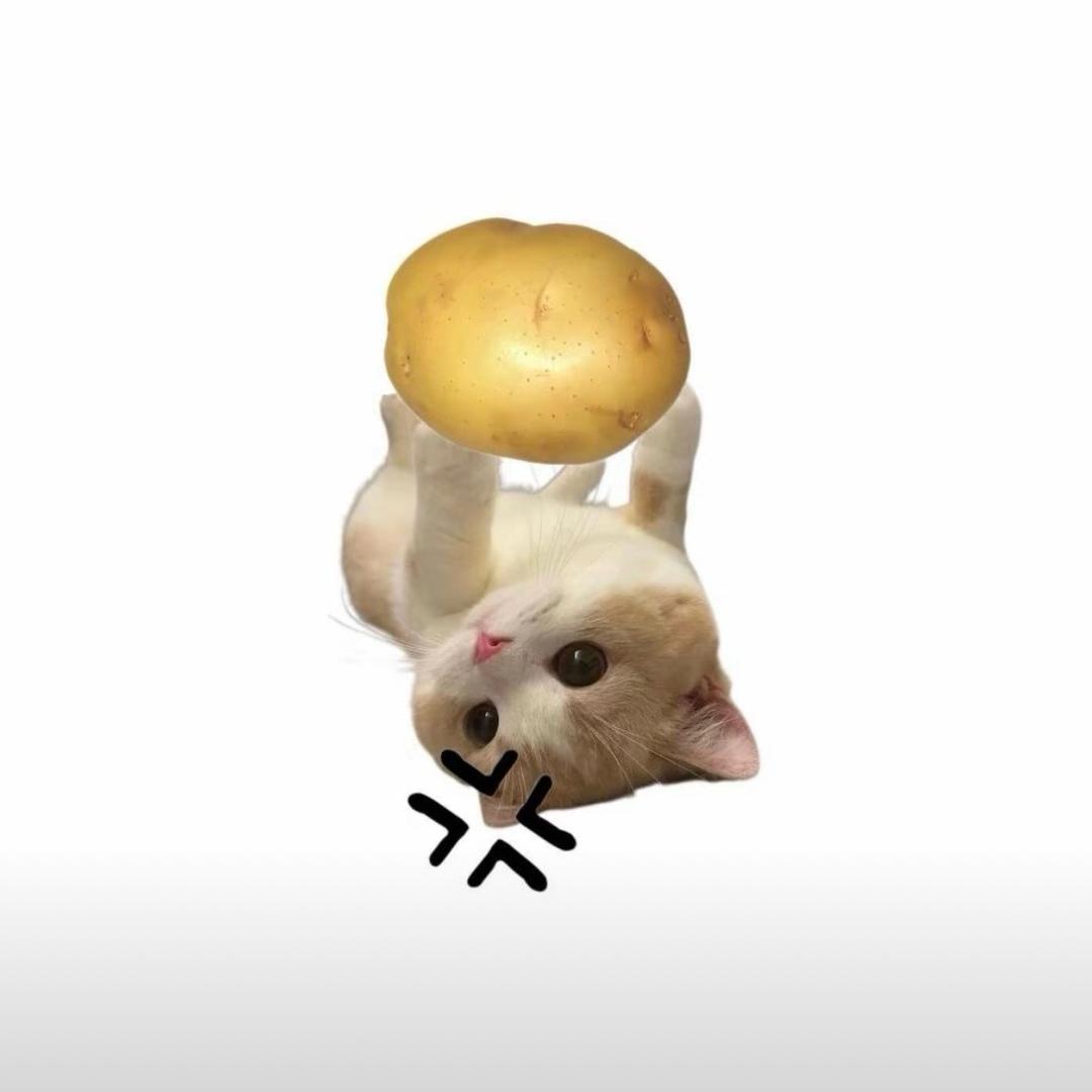你怎么又哭了