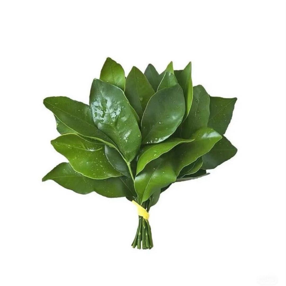 差点兔了