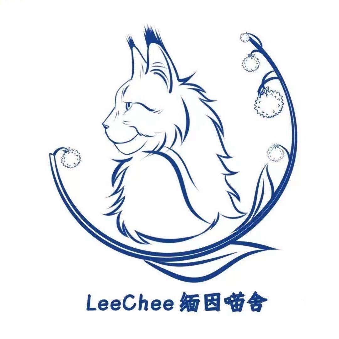LeeCHee缅因猫