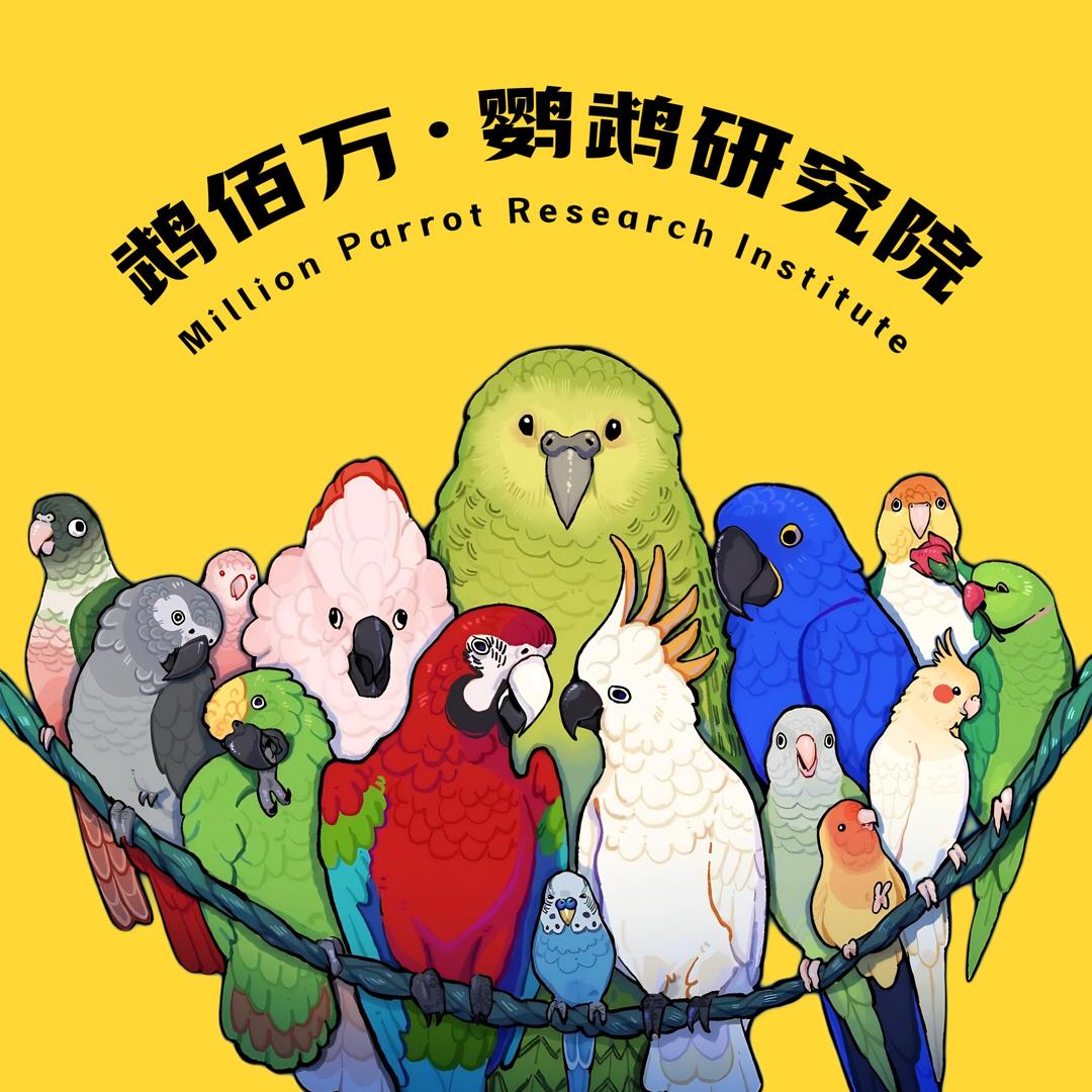 鹉佰万•鹦鹉研究院