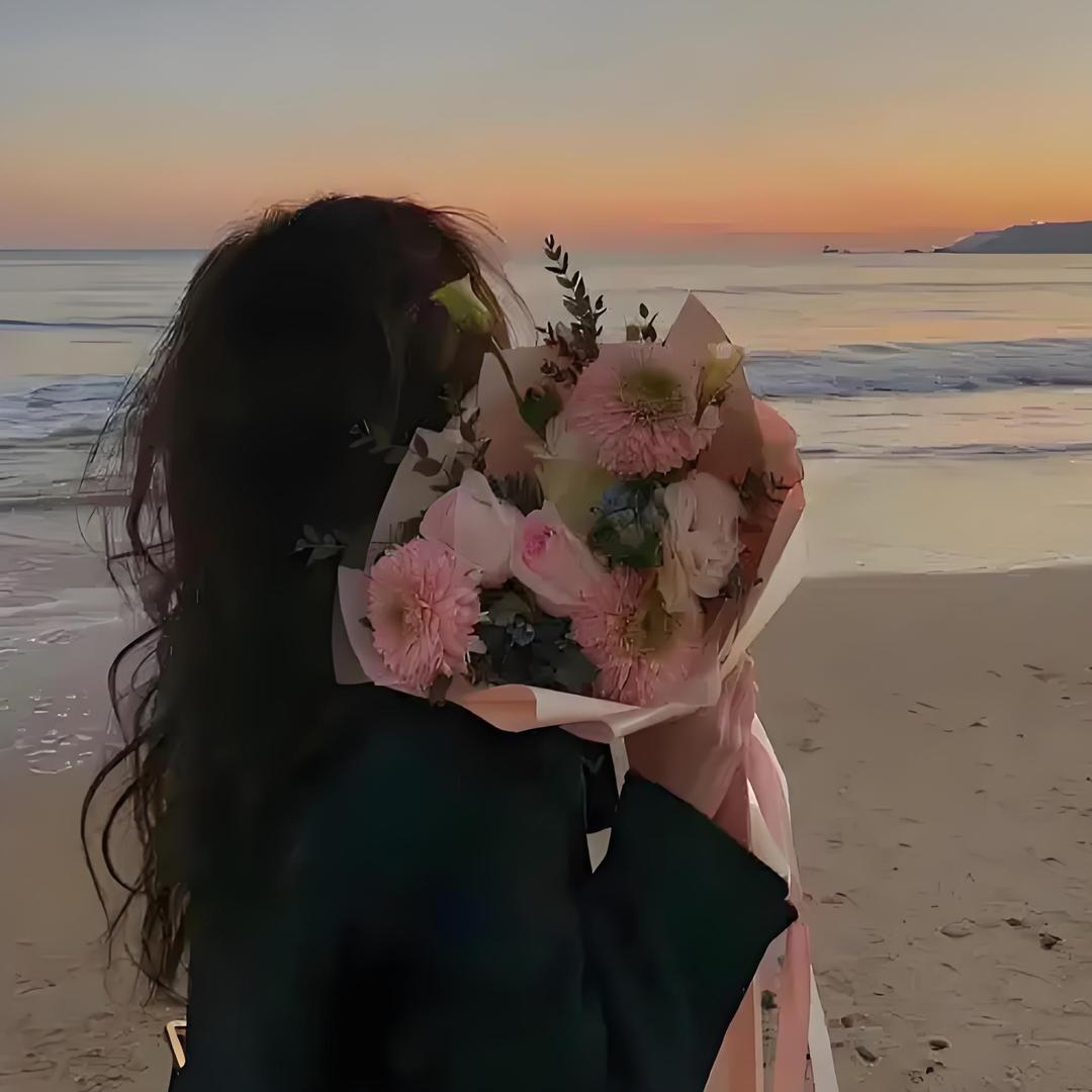 向日葵🌻的太阳🌞