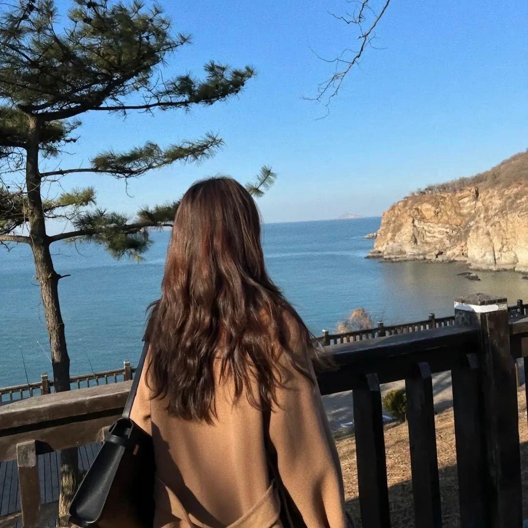 兔子的盖世英雄