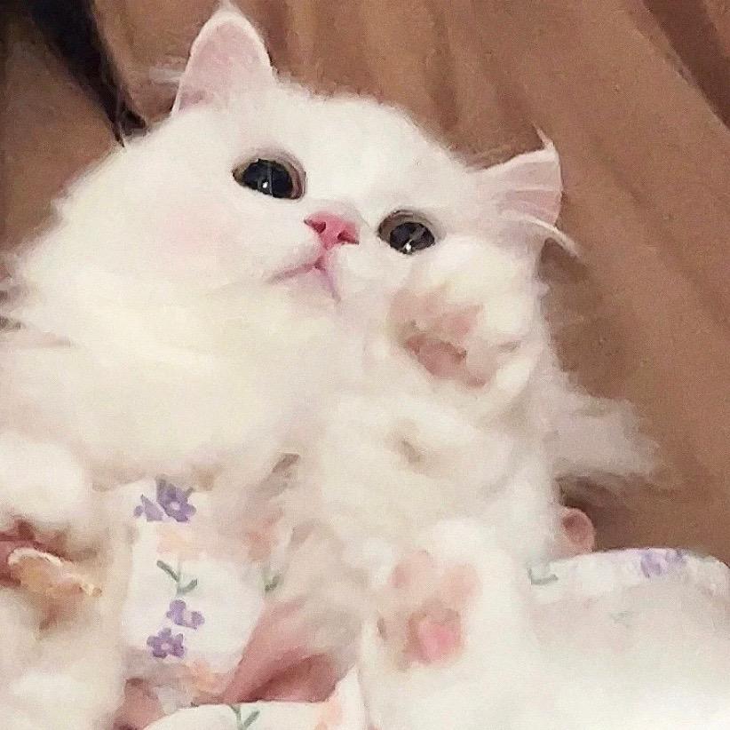 妍妍Ya🎀