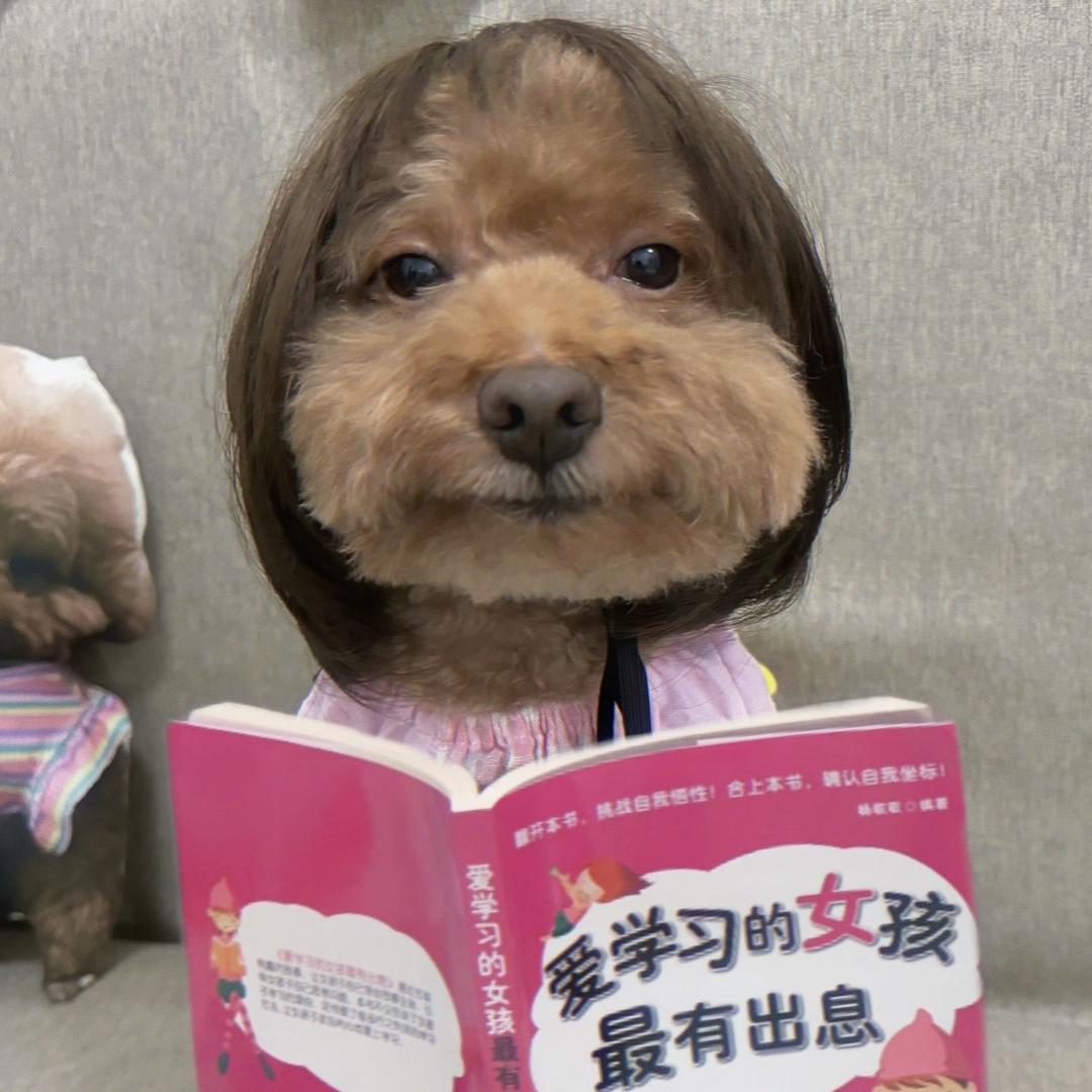 呼啦呼啦糊