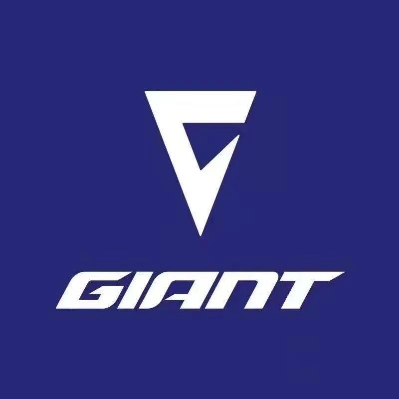 捷安特丽以芙运河路店