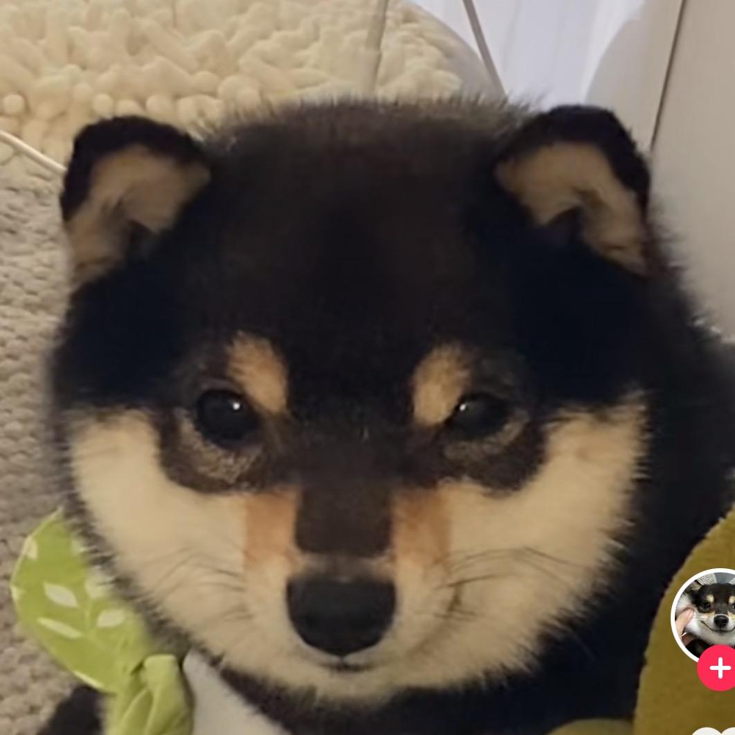 三层肚肌