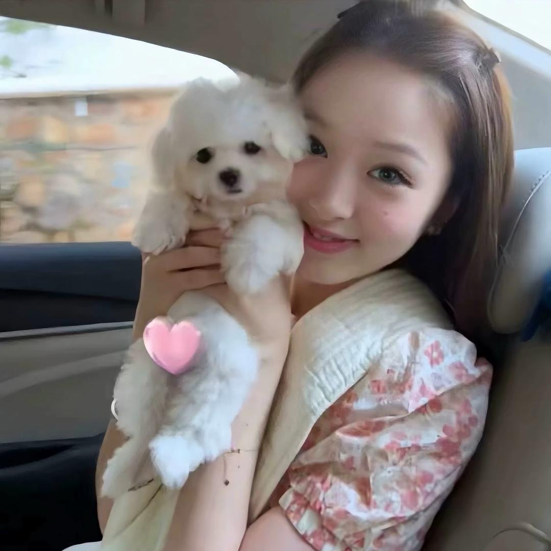 ㅤ     ㅤ    ㅤ