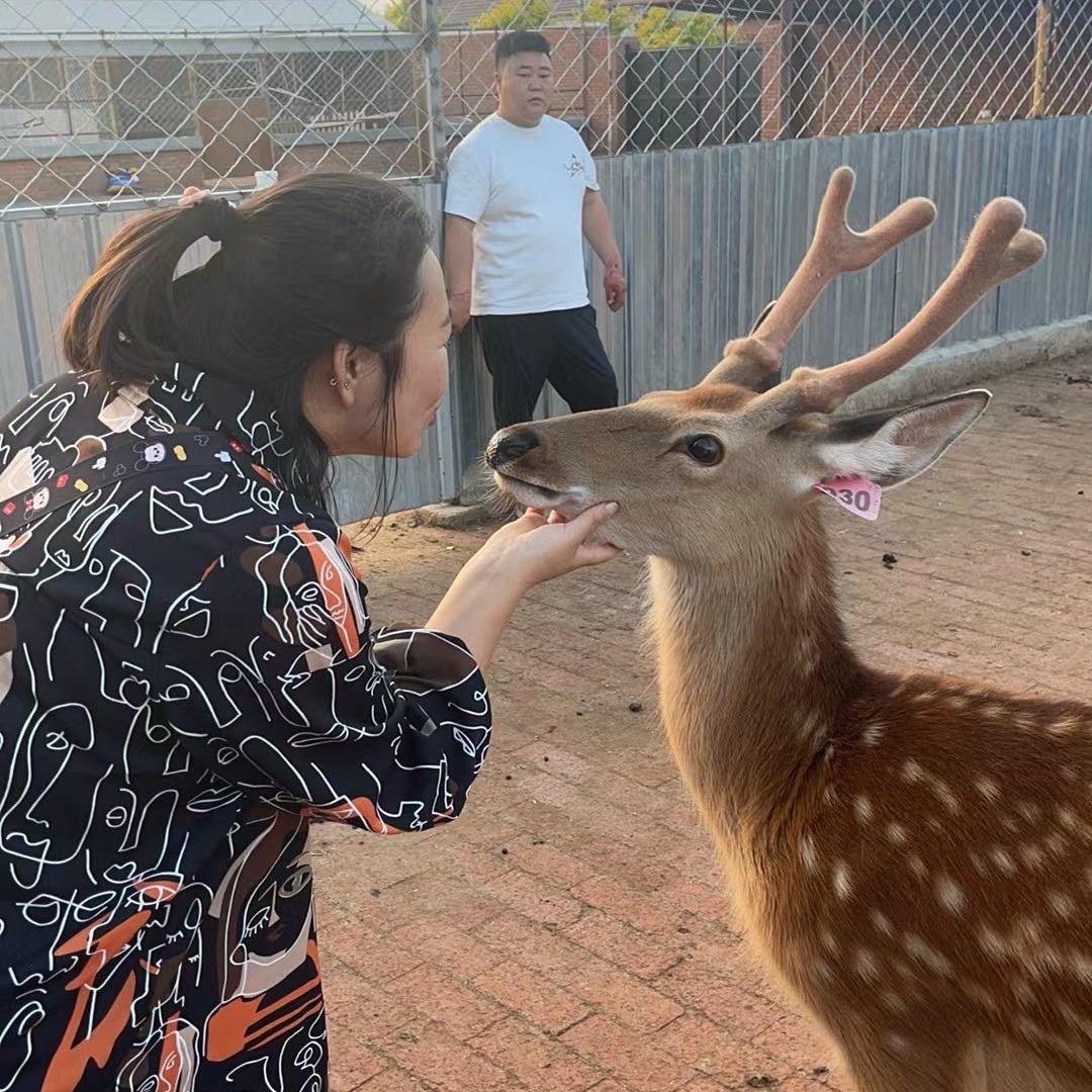鹿乡永顺鹿场直营店