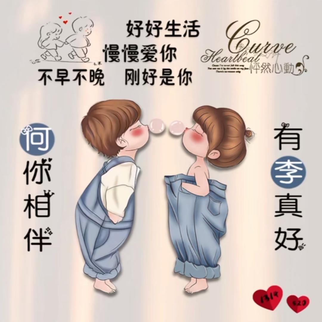 荷鲤相伴