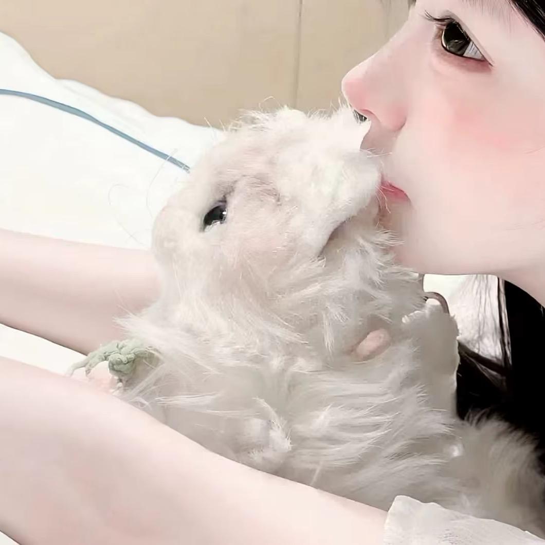 画里是柳皮