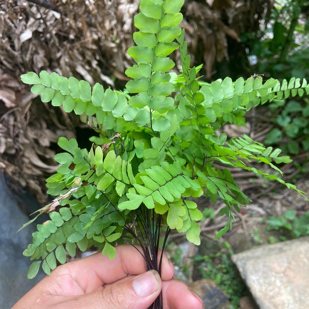 一切由心态决定