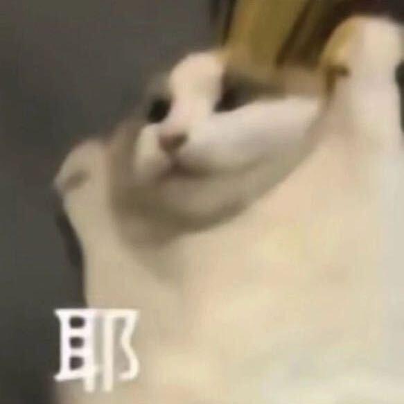 哈基咪椰