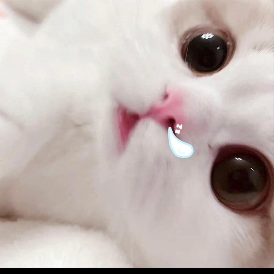 潘潘