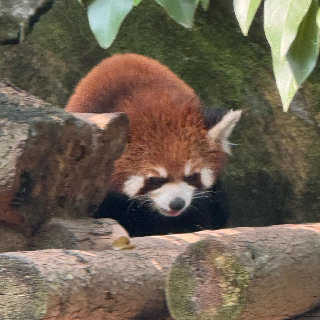 略略略