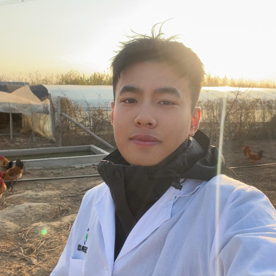 张较瘦→养鸡技术指导