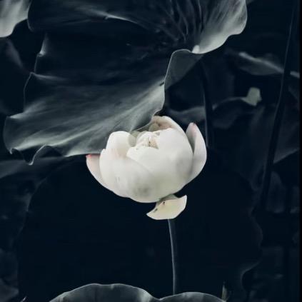 一