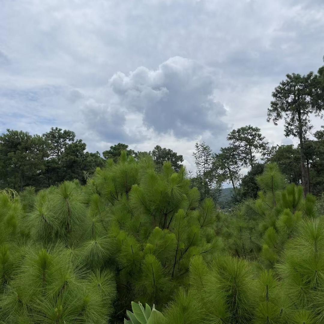 绿水长流