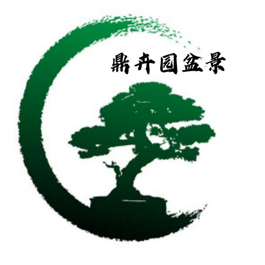 鼎卉园盆景供应链