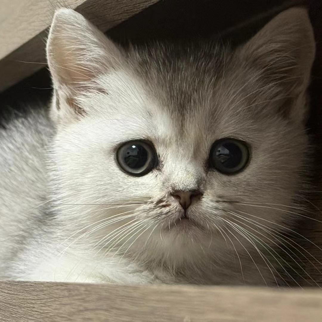 Llllllll