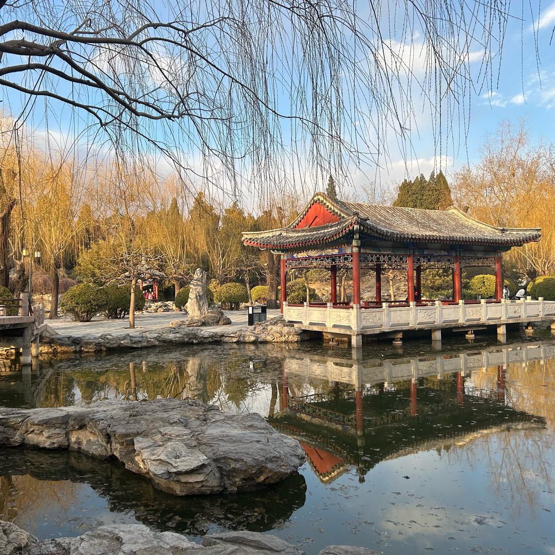虎子爱旅游
