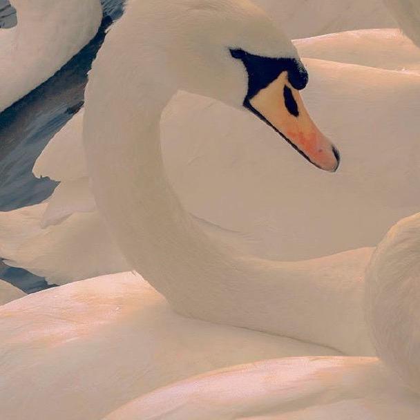 Casper-